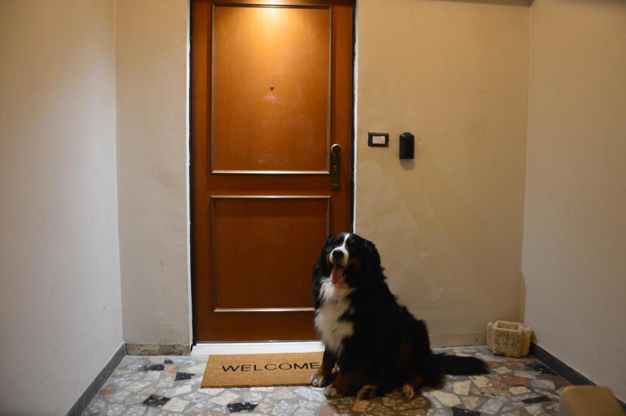 Luxury Bellevue Centro Citta Apartment *
